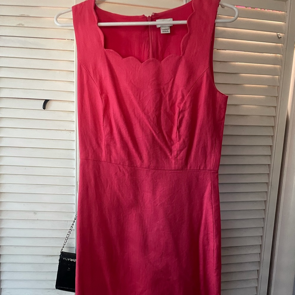Pink Scallop Dress